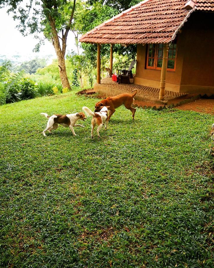 Pepper Hills Cottages Ella Exterior foto